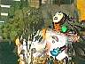 dris165.jpg